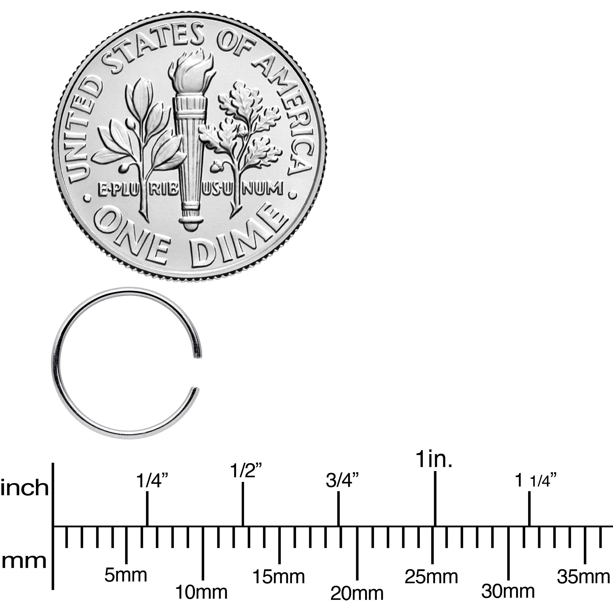 22G 5/16 Seamless Circular Ring Set of 12