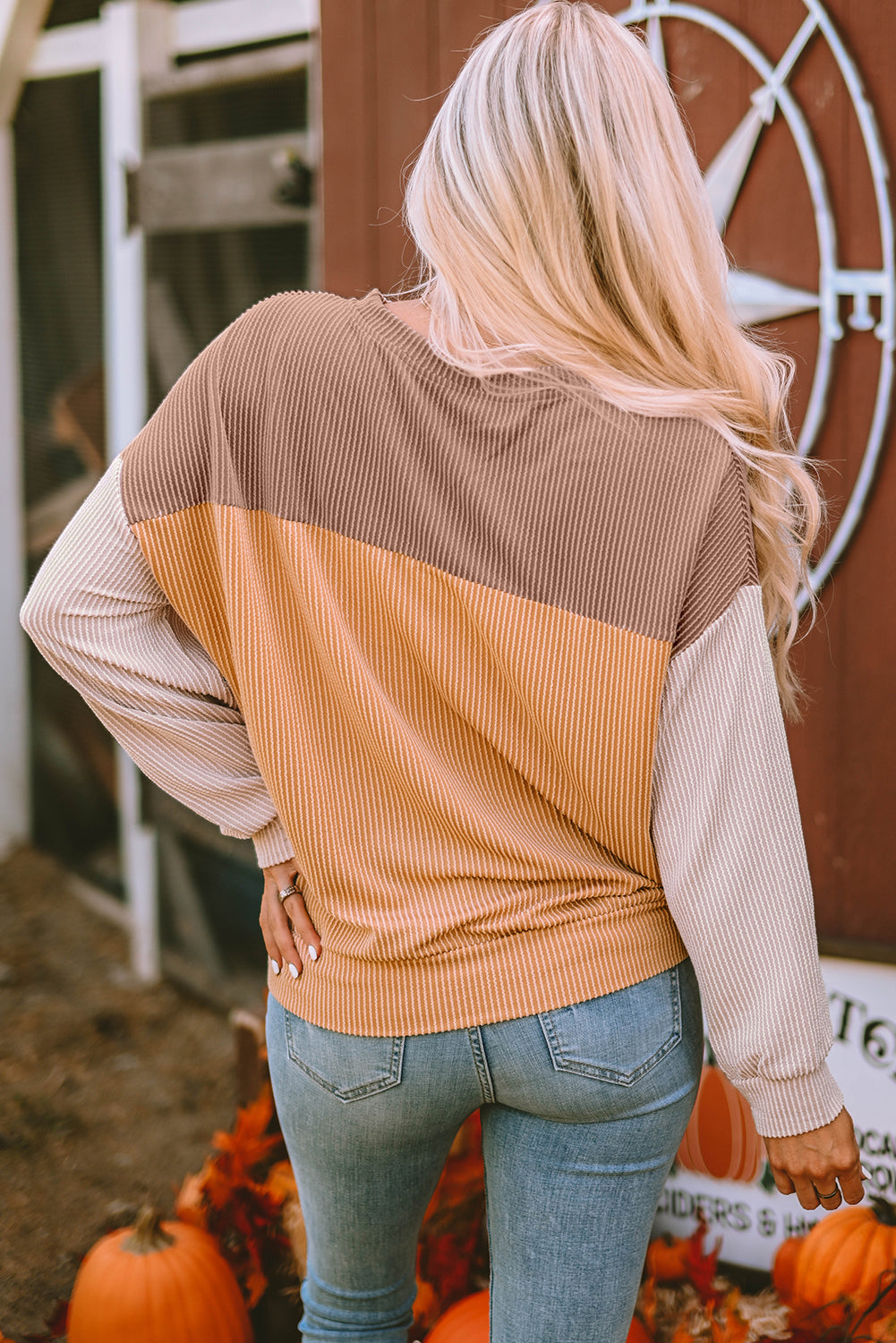 Adaline Ribbed Loose top Long Sleeve Top